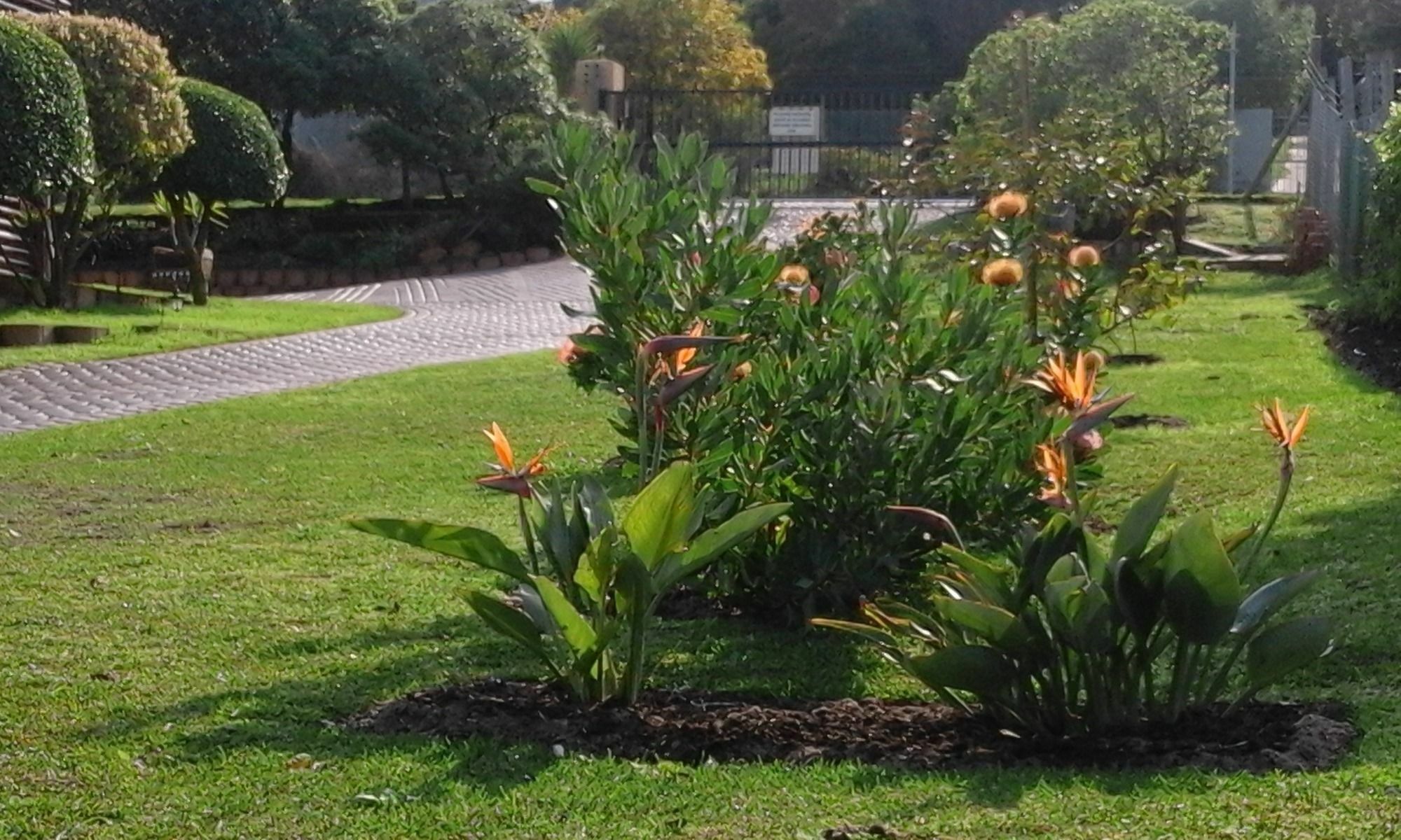 Horizon Cottages Noordhoek Exterior foto